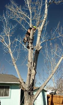 Equipment used to move logs and clear brush on a property